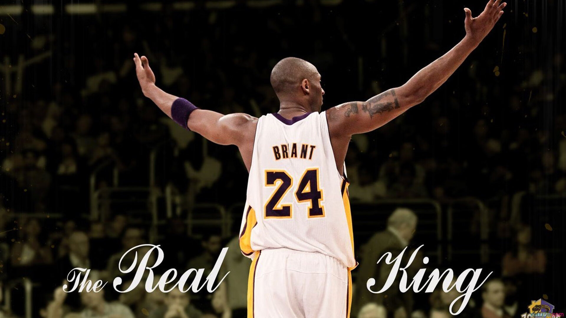 爱游戏官方-湖人收割新疆队，字母哥在F1赛道接管比赛，一场跨维度的征服